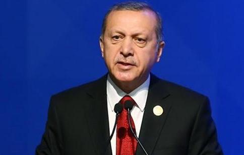Erdoğan "TSK Barış Pınarı Harekatı'nı Başlatmıştır"